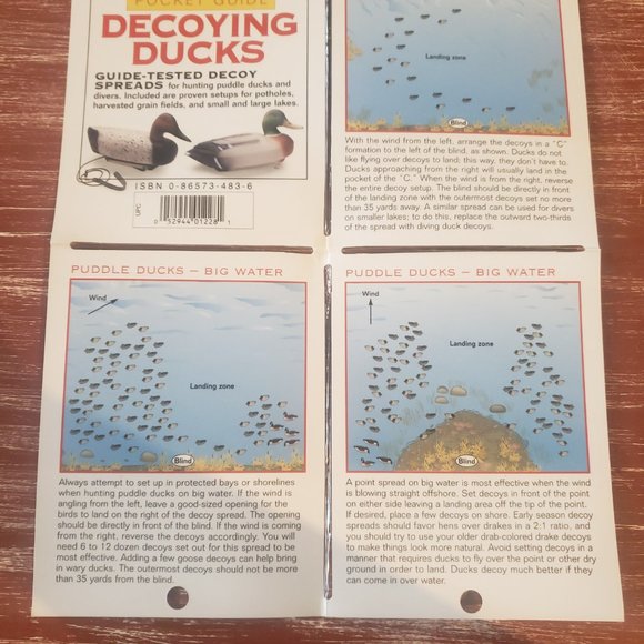Duck Hunting Laminated Pocket Guides - Set of 3 - Picture 9 of 11